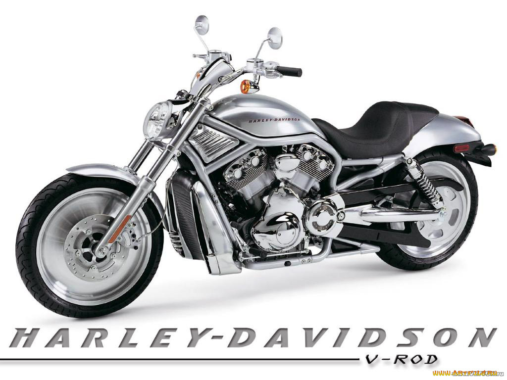 , harley, davidson